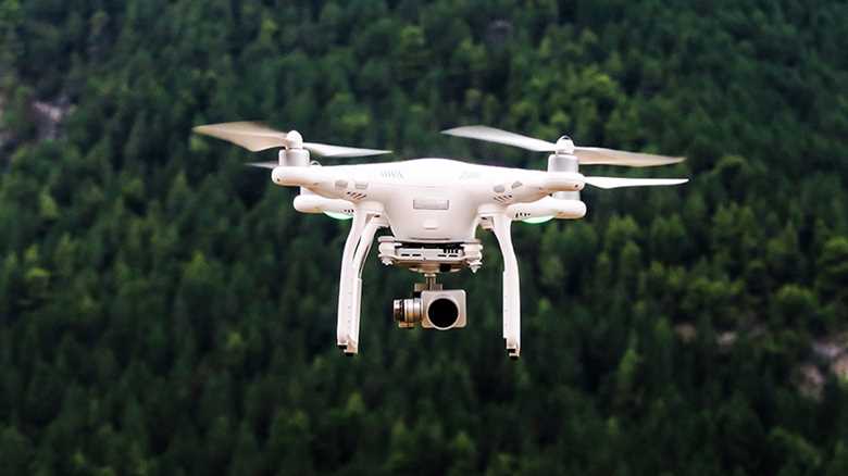 Safeguard Your Skyward Snapshots: A Comprehensive Guide on Protecting Travel Drone Photography Copyright
